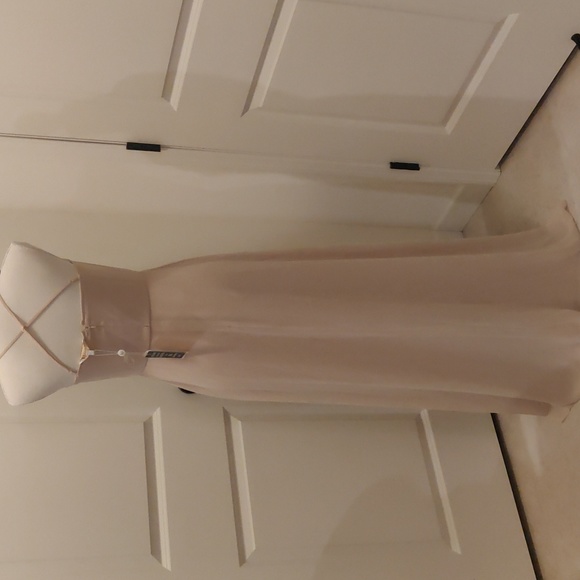 WAYF The Wesley Cowl Neck Chiffon Gown in Champagne sz Small - Picture 6 of 13